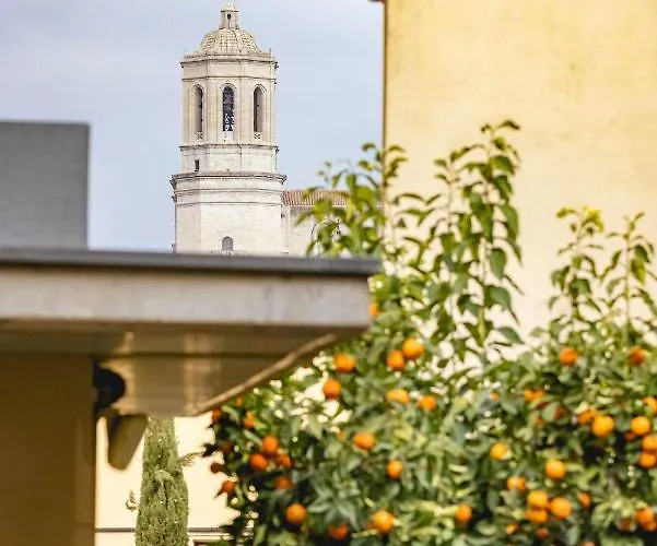 Bravissimo La Mora Girona